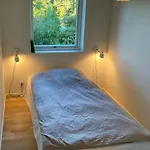 Architect-Designed Retreat In Private Woods * Give