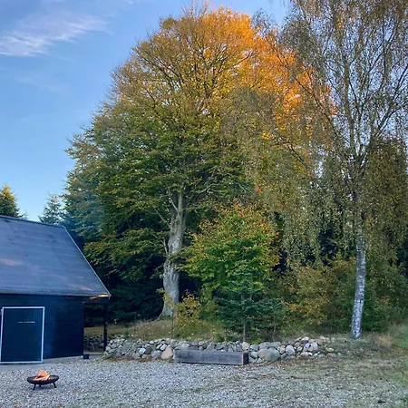 Architect-designed Retreat In Private Woods