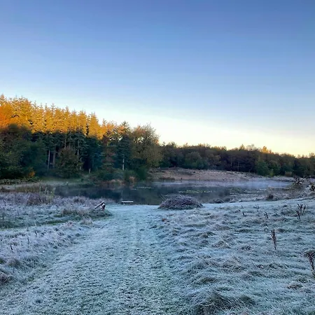 Architect-designed Retreat In Private Woods Nyaraló