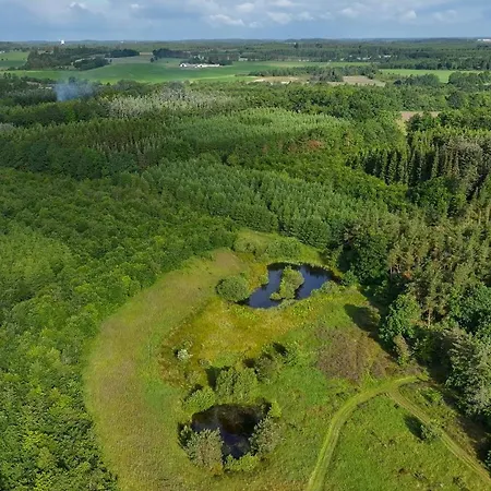 Nyaraló Architect-designed Retreat In Private Woods